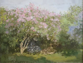 Unknown Image